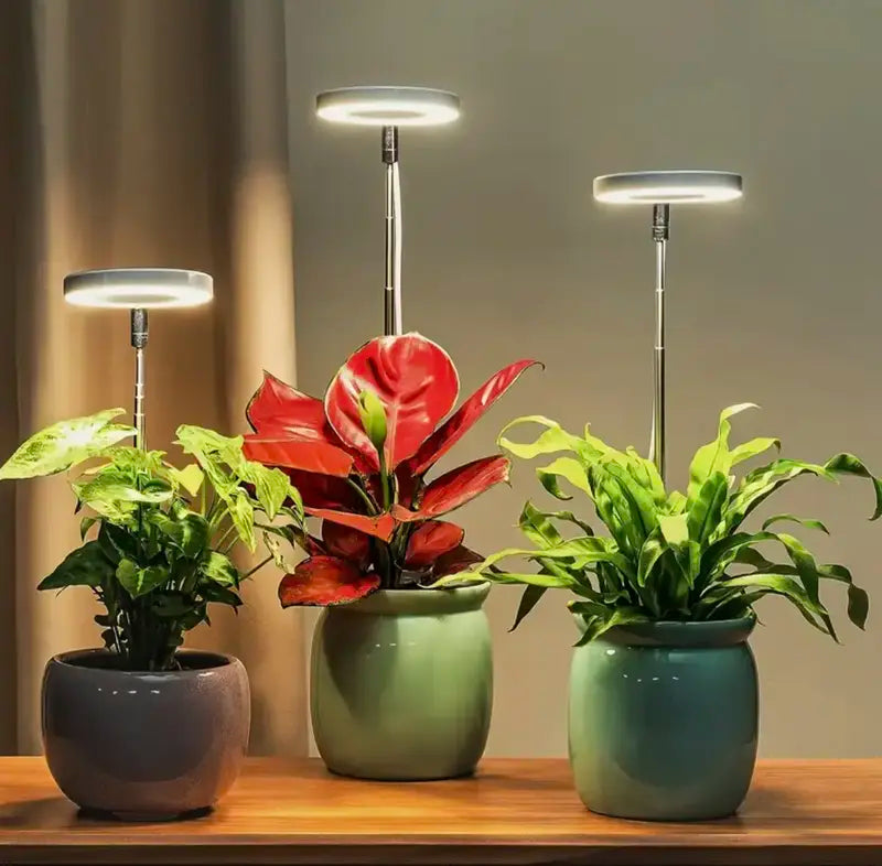 Fuldspektret plantelys